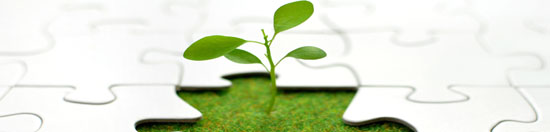 Aon Norway - Junior Development Programme